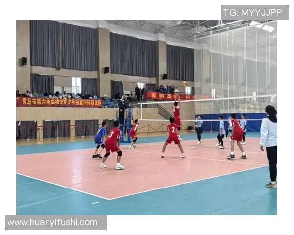 南京排球队的拼搏历程与挑战赛背后的奋斗故事 南京排球队的拼搏历程与挑战赛背后的奋斗故事